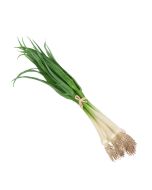 Spring Onion Bundle Natural Touch