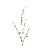 Pussy Willow Stem 81cm