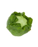 Cabbage Natural Touch