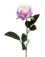 Diamond Rose Lavender 40cm