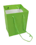 Olympic Bag Lime 25cm