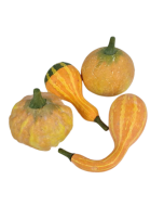 Gourds x 4 Yellow 8 - 12cm