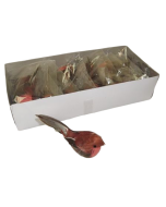 Robins - Natural (12 Per Box) App 9.5cm