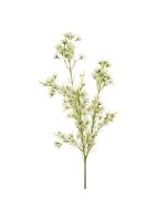 Wintersweet Spray x 3 67cm White