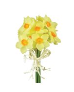 Daffodil Bundle 27cm Yellow/Orange