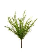 Rosemary Bush 43cm Green