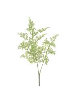 Artemisia Spray 60cm Green