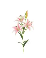Tiger Lily 82cm Pink