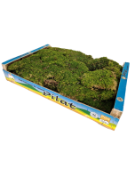 Dried Flat Moss App 1.5kg Best Quality (French)