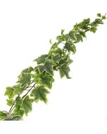 180cm Outdoor Ivy Garland WR Green/Variegated