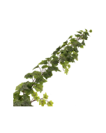 180cm Outdoor Blush Ivy Garland WR Green/Grey