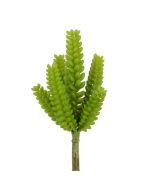 Succulent Pick 30cm Green