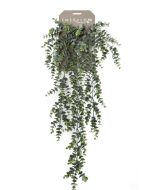 Eucalyptus Hanging Bush 75cm