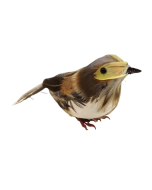 Feathered Thrush Natural (13cm) x 6pcs