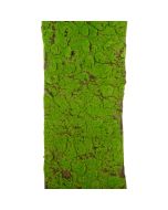 Moss Mat Roll 40 x 150cm
