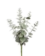 Snowy Spiral Eucalyptus Pick 30cm