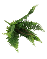 Plastic Boston Fern Bush H - 40cm