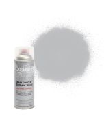 OASIS® Spray Colour Brilliant Silver