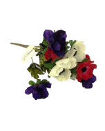 Anemone Bush Purple/Red/White