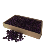 Putka Pods Aubergine