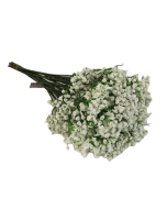 48cm Gypsophila x 12 Stems