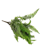 43cm Flocked Fern Bush