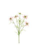 Nigella Love in the Mist -65cm Pink