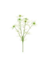 Nigella Love in the Mist -65cm White