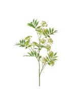Anethum Spray 117cm Green