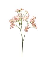 Gypsophila Spray 68cm Pink