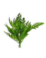 42cm Fern Bush