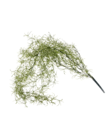 Tillandsia Green 85cm