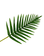 Real Touch Fern Palm Leaf Green 65cm