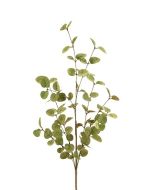 Eucalyptus Spray 85cm Green/Gold