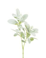 Snowstorm Lambs Ear Spray 71cm