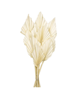 Palm Spear - Bleached White - 10pcs