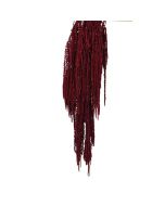 Preserved Amaranthus Caudatus - Burgundy