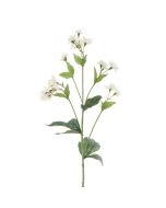ECO Astrantia Spray - 77cm White