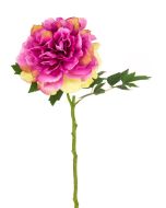 Blush Peony Fuchsia - 62cm Fuchsia