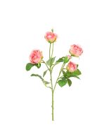 Abeba Rose Spray 60cm Melon