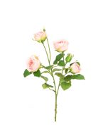 Abeba Rose Spray 60cm Pink