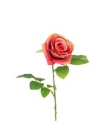 Gemma Single Rose - 64cm Coral