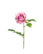 Gemma Single Rose - 64cm Mauve