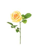 Gemma Single Rose - 64cm Peach