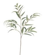 Long Leaf Eucalyptus - 117 cm Green