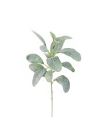 ECO Lambs Ear Shortie - 35cm Green