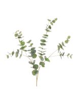 Jackson Eucalyptus Spray - 101cm