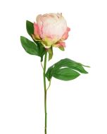 Hybrid Peony Bud 45cm Pink