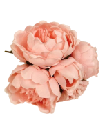 28cm Light Coral Peony Posy