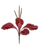 Plantain Red 29cm